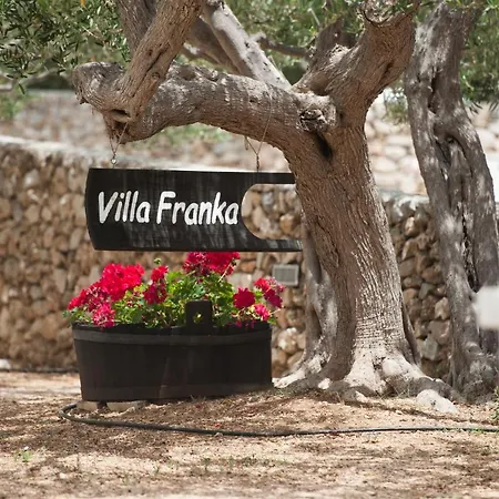 Franka Loza Apartment