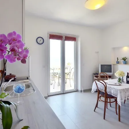Apartment Franka Loza Bol